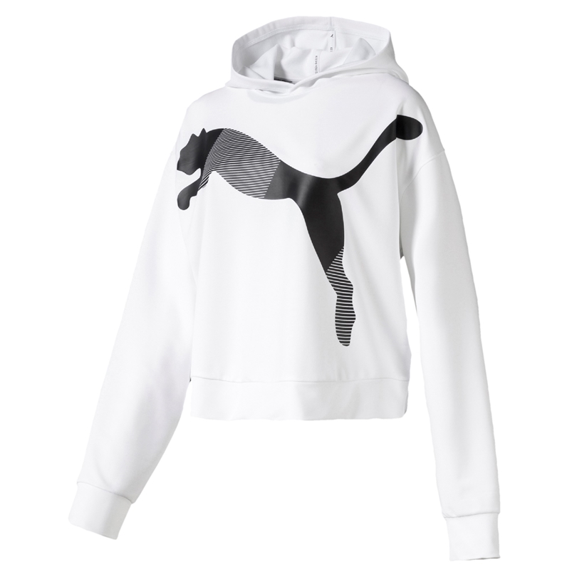 puma modern sport hoody